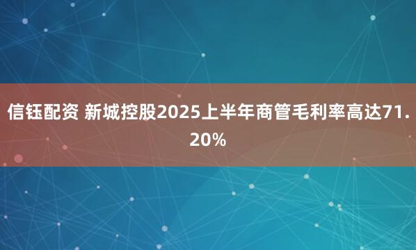 信钰配资 新城控股2025上半年商管毛利率高达71.20%