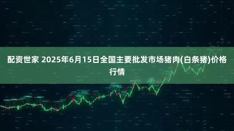 配资世家 2025年6月15日全国主要批发市场猪肉(白条猪)价格行情