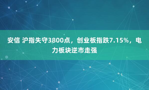 安信 沪指失守3800点，创业板指跌7.15%，电力板块逆市走强